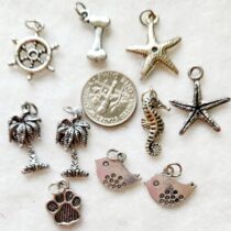 5502 SS charms